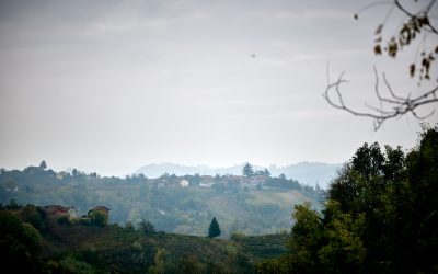 Slow Food und kulinarische Traditionen im Fokus